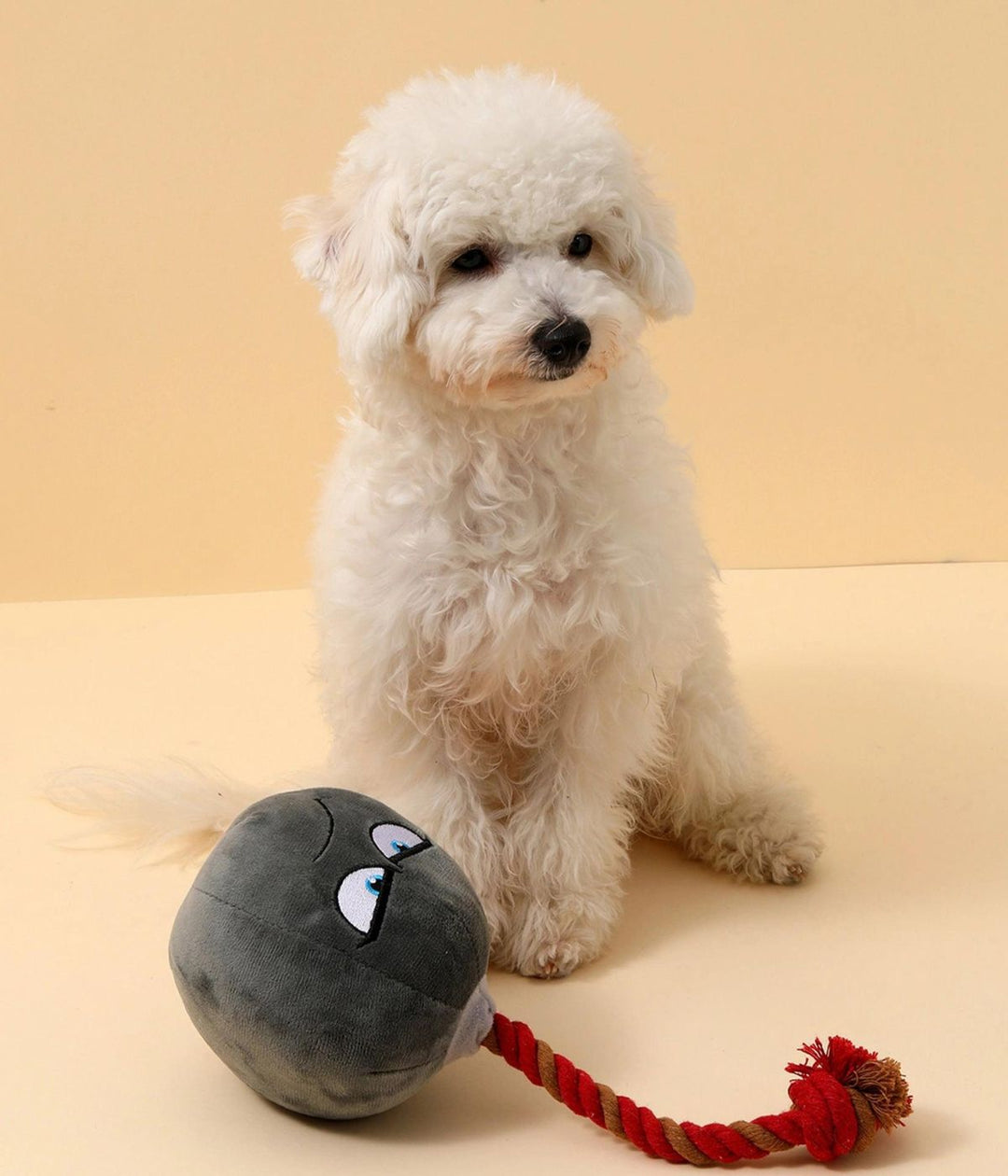 Cagnolino barboncino con giocattolo a forma di bomba in peluche grigio polietere su vista frontale. 