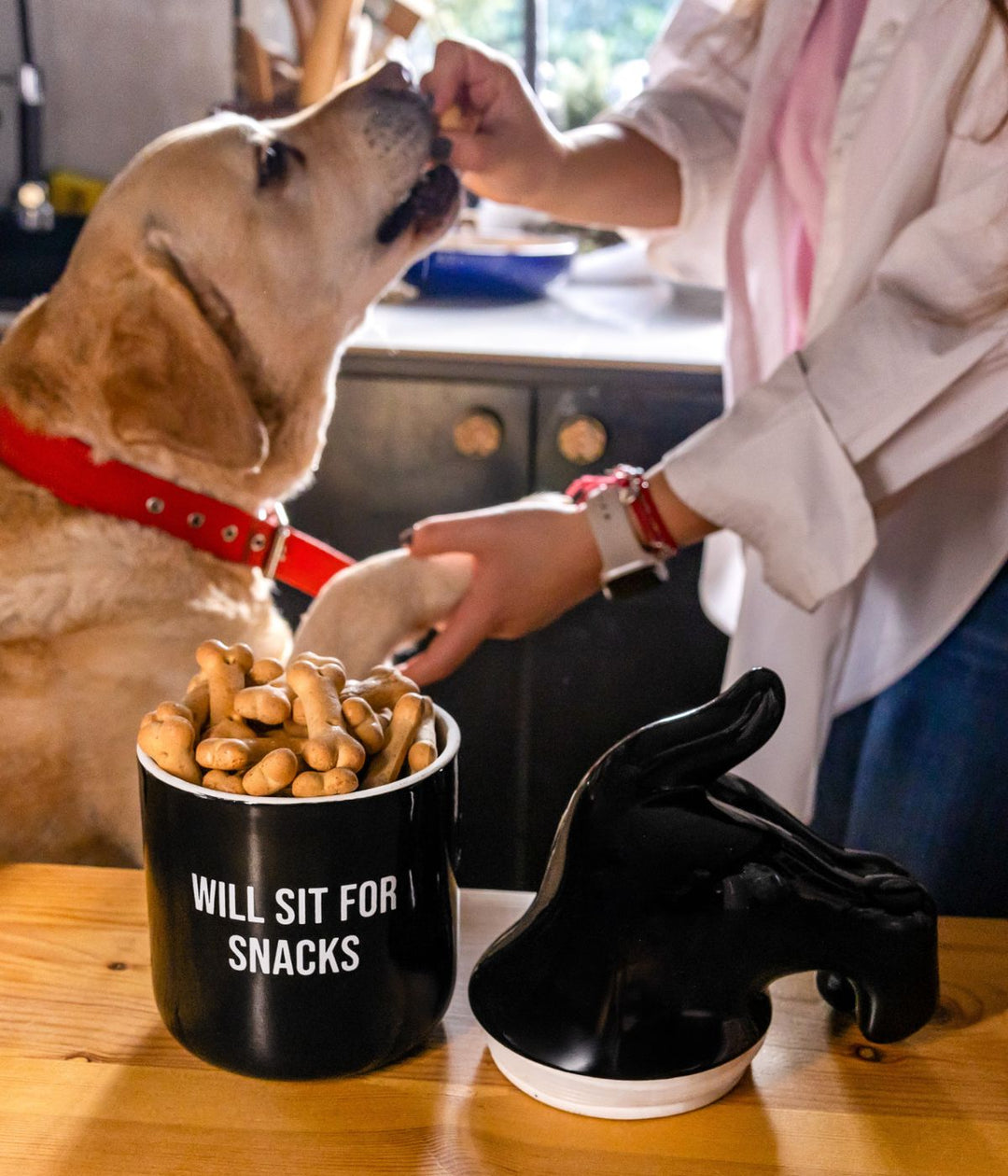 Un cane che riceve uno snack da un contenitore nero con la scritta "WILL SIT FOR SNACKS".