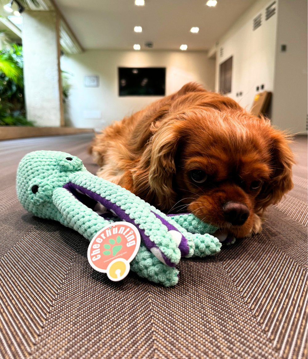 Cane con giocattolo morbido in tessuto felpato per cani a forma di polpo color verde chiaro e viola.