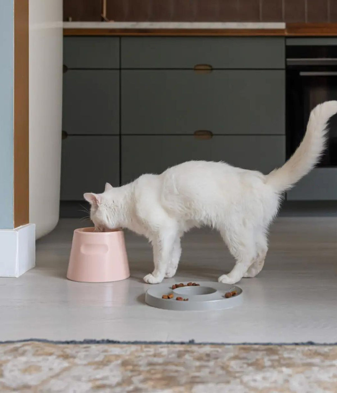 Gatto in cucina che mangia da ciotola alta rosa con accanto slow feeder Ring per prevenire di mangiare troppo velocemente  