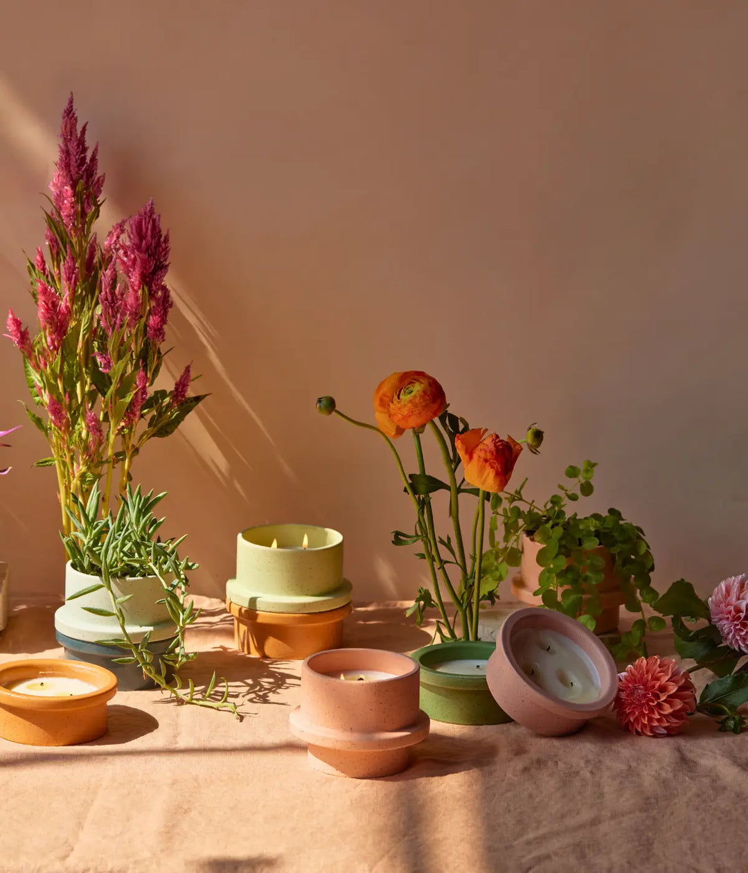 Vasi e candele Folia di diversi colori con fiori e piante