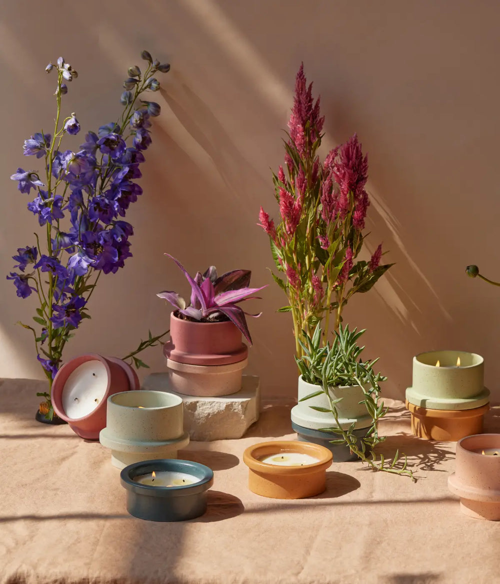 Candele Folia ambientante di diversi colori con vasi con piante e fiori