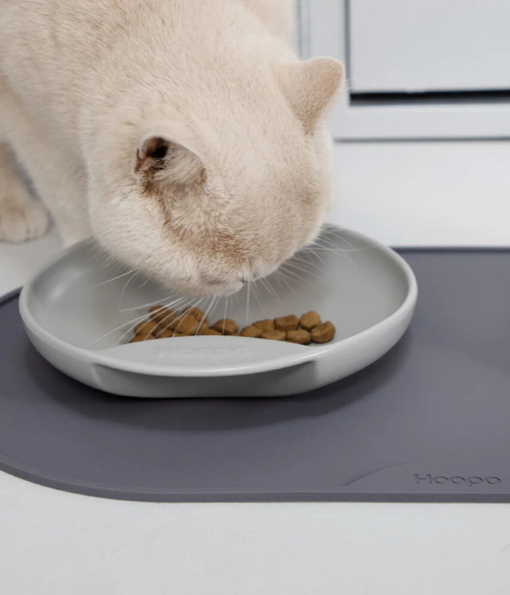 Gatto che mangia nella ciotola grigia sul tappetino coordinato grigio